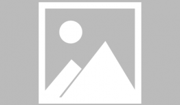 人民日报今日吃瓜视频