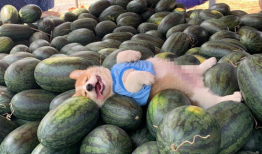 今日吃瓜头像,揭秘娱乐圈幕后风云