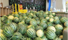 今日吃瓜了吗,吃瓜群众聚焦最新瓜事